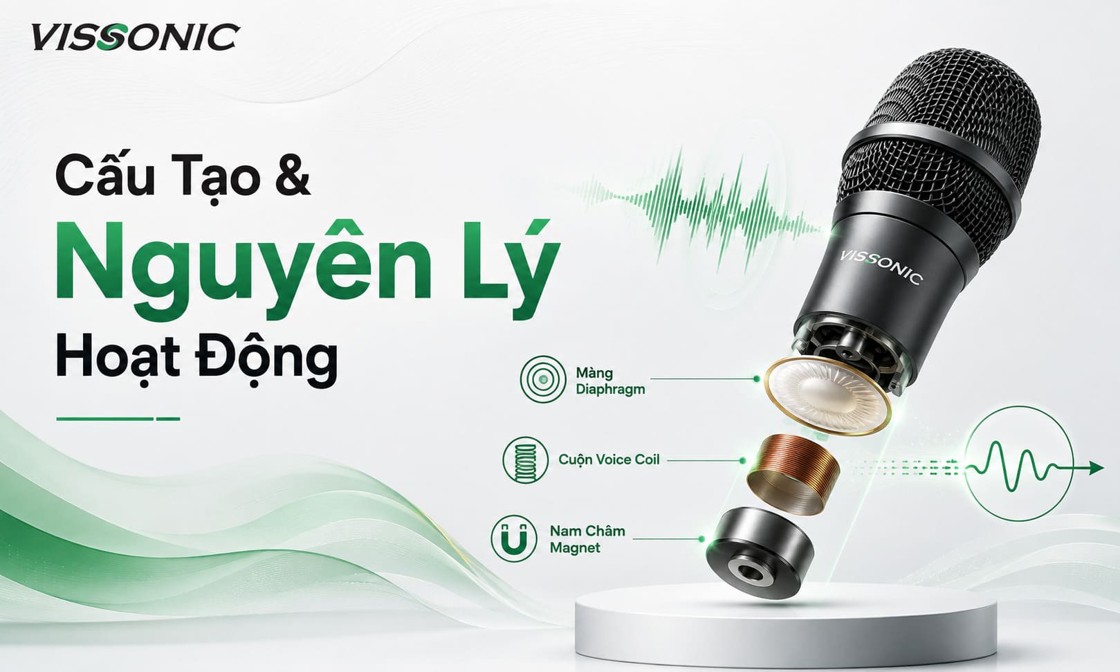 Micro Dynamic Là Gì